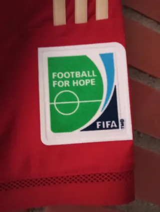 Camiseta Edición Especial España Mundial 2014