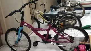 Bicicleta infantil morada
