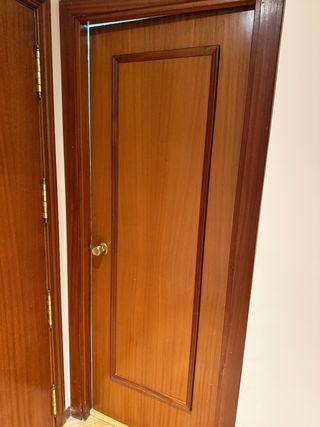 REGALO Puertas madera maciza y doble de cristal