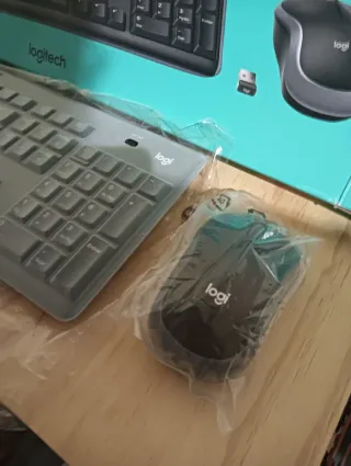 Teclado Ratón Logitech MK270 Negro Importante LEE