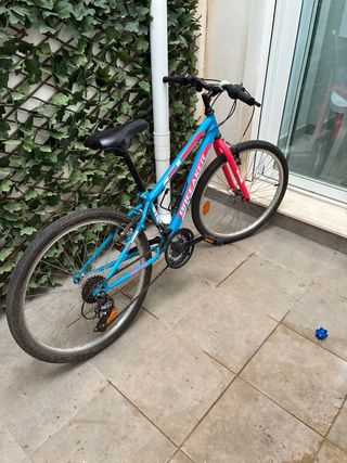 Bicicleta niña talla 8-9