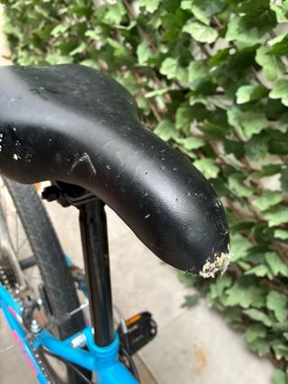 Bicicleta niña talla 8-9