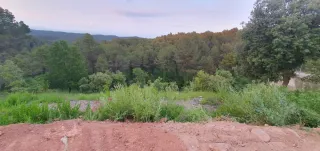 Terreno en el Serrat