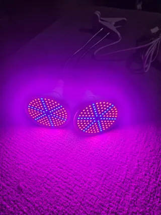 Lámpara LED doble clip cultivo