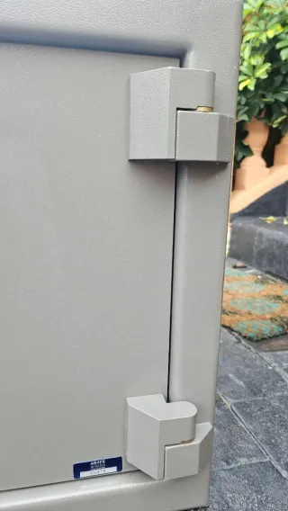 Caja fuerte profesional ARFE