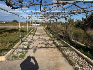 alquiler campo eventos