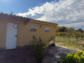 alquiler campo eventos