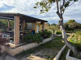 alquiler campo eventos