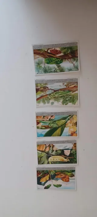 Lotto 29 figurine storiche Liebig anni '60