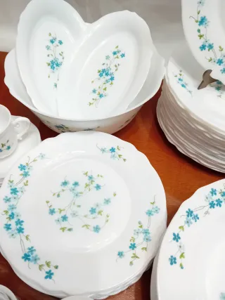 Vajilla Arcopal Flores Azules
