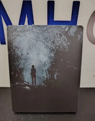 Resident Evil 4 Remake Steelbook Xbox Series X