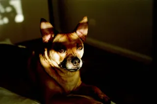 Objetivo Canon FD 50mm 1:1.8 Metálico