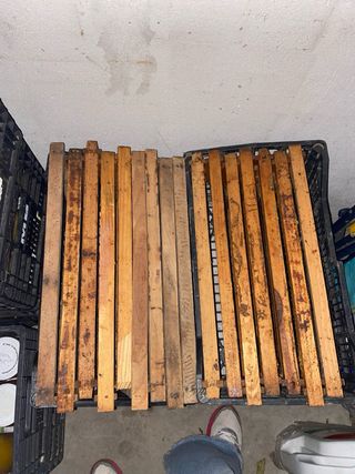 44 Cuadros Colmena + 2 Cazapoleo + 2 Tapas