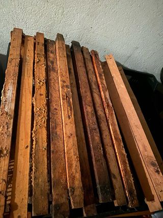 44 Cuadros Colmena + 2 Cazapoleo + 2 Tapas