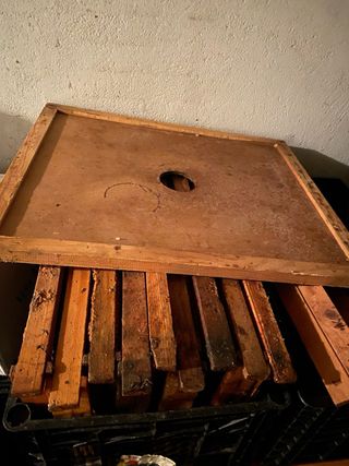 44 Cuadros Colmena + 2 Cazapoleo + 2 Tapas