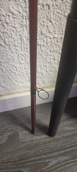 Caña de pescar Demon SPIN