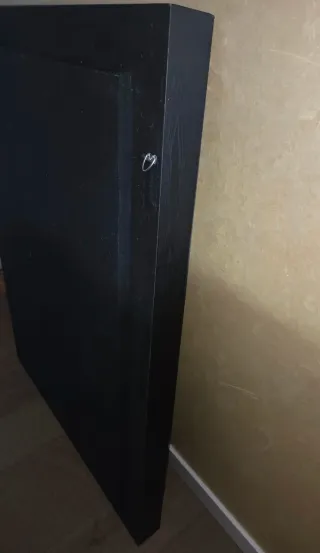 Cuadro Hojas Doradas Marco Negro