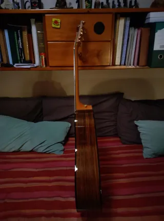 Guitarra Acústica Taylor 217e-SB Plus LTD 50th