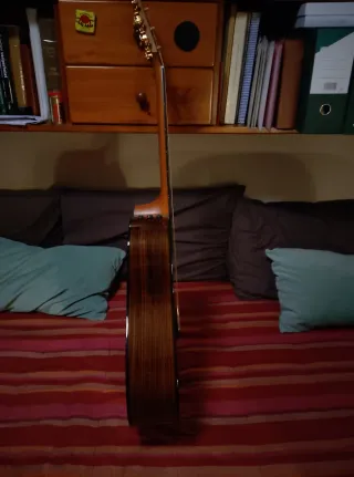 Guitarra Acústica Taylor 217e-SB Plus LTD 50th