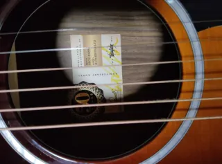 Guitarra Acústica Taylor 217e-SB Plus LTD 50th