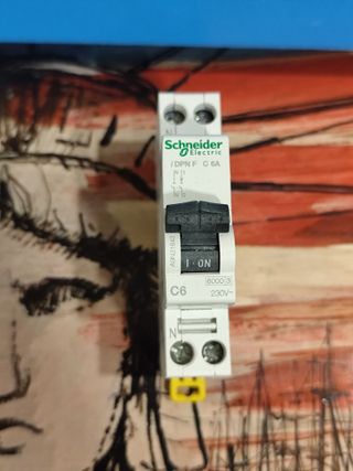 Interruptor DPN Schneider 6A