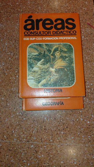 Consultor didactico HISTORIA