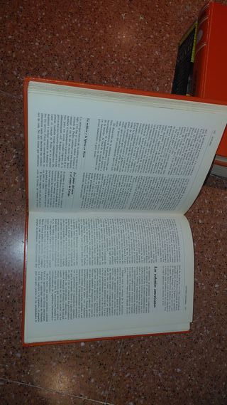 Consultor didactico HISTORIA