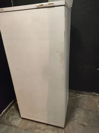 Congelador vertical blanco