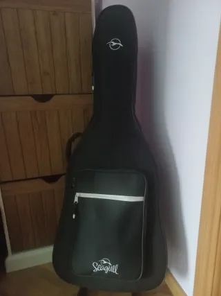 Guitarra Acústica