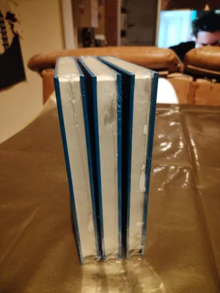 Lote libros grandes clacicos