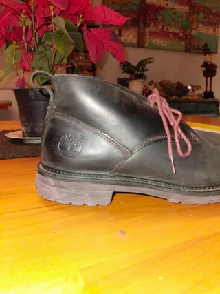 Botín Timberland Carthkeepers Talla 9.5