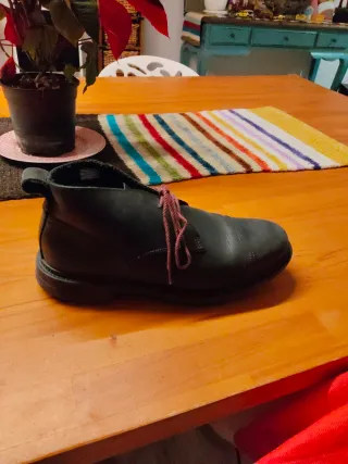 Botín Timberland Carthkeepers Talla 9.5