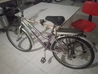 Bicicleta Coluer chica
