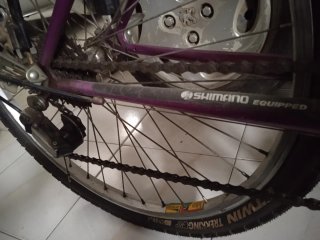 Bicicleta Coluer chica