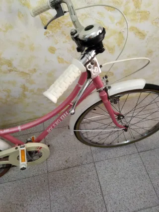 Una Bicicleta Vintage, De Segunda Mano