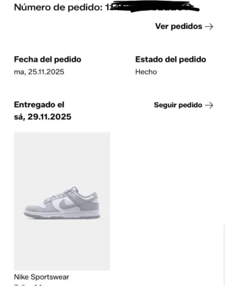 Nike Dunk Gris y Blanco