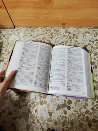 Diccionario escolar de la lengua española