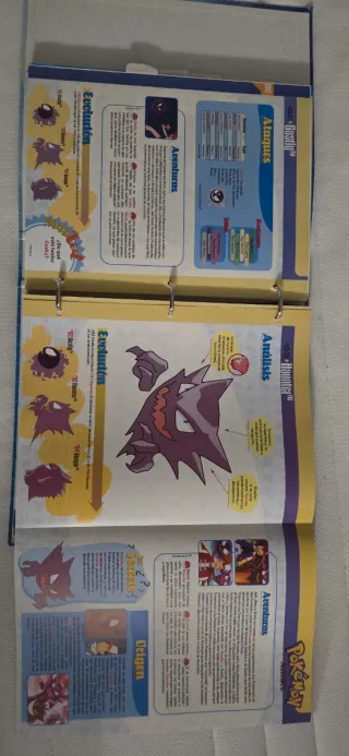 Imanes y Enciclopedia Pokémon Planeta DeAgostini