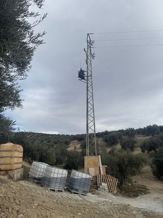 Finca Olivar Regadío en Producción