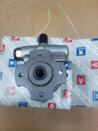 Bomba Dirección Asistida 4007.V7