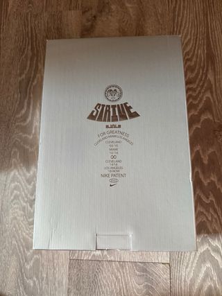 Nike LeBron XX Talla 40 Verde/Marrón