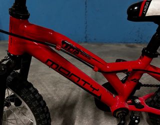 Bicicleta infantil Monty
