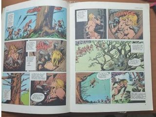 COMIC - RAHAN COLECCION ECUADERNADA DEL 1 AL 12