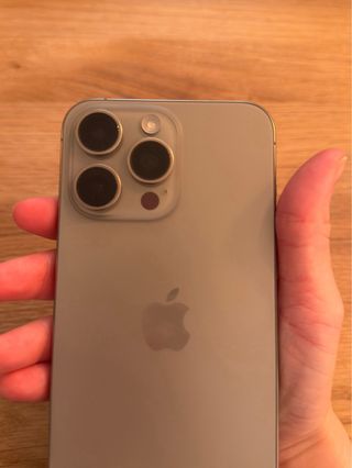 iPhone 15 Pro Max 256GB Plata/Gris