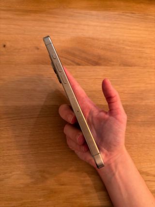 iPhone 15 Pro Max 256GB Plata/Gris