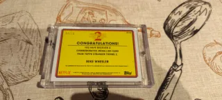 Stranger Things 2 Mike Wheeler Topps Zerocool