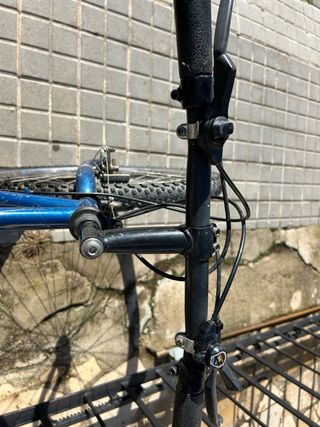 Bicicleta de adulto azul