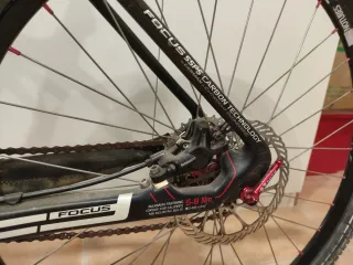 Bici MTB Focus Raven Carbono