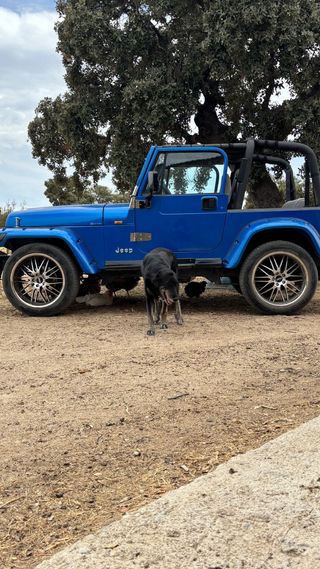 Jeep Wrangler 1992 HISTORICO - Precio Negociable