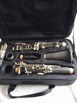 Clarinete con accesorios